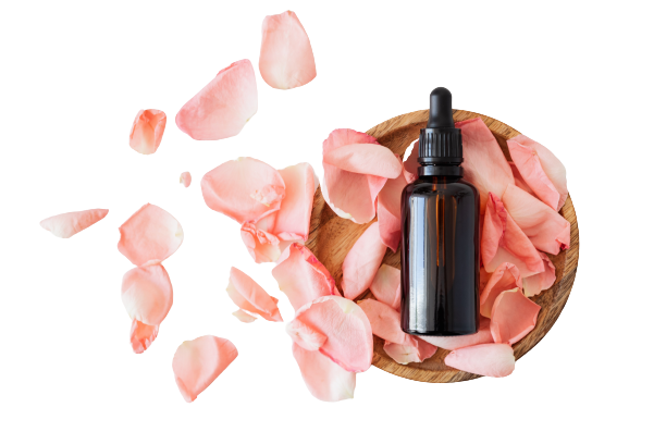 Marketing et Communication